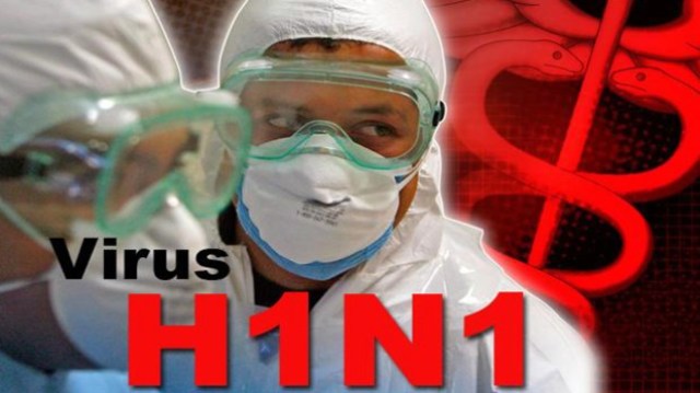 Brote del Virus AH1N1