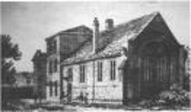 resolution 2- say yes