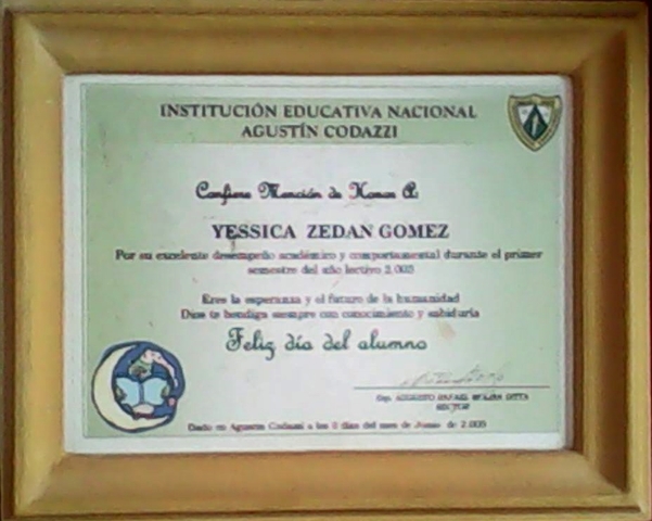 Recibí mención de honor