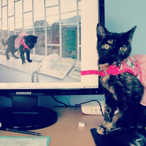 compramos nuevo computador