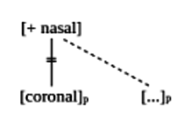 Autosegmental Phonology