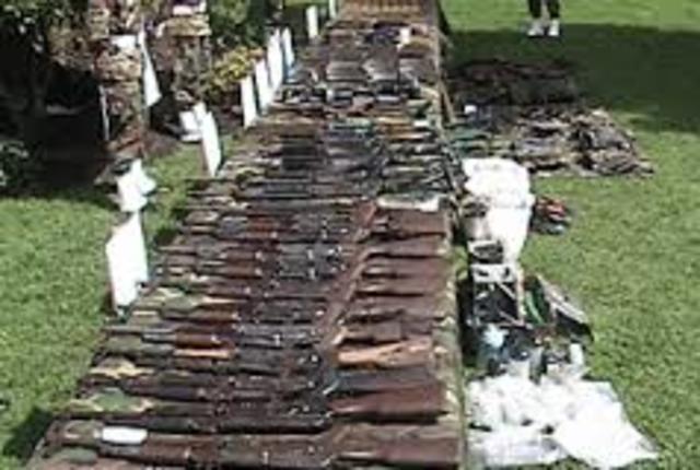 Tu fiel e inseparable amiga