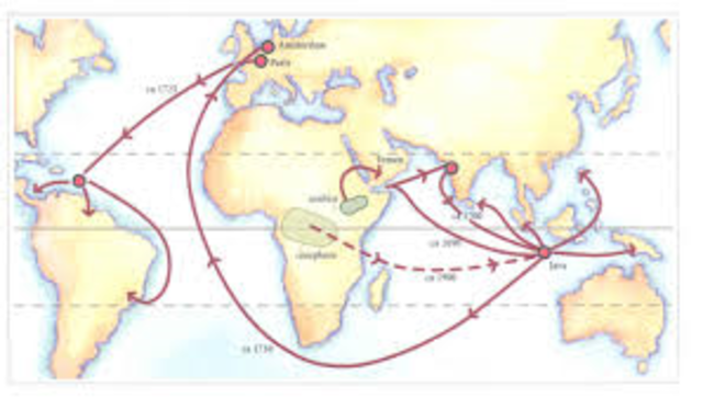 desarrollo capitalismo monopolista