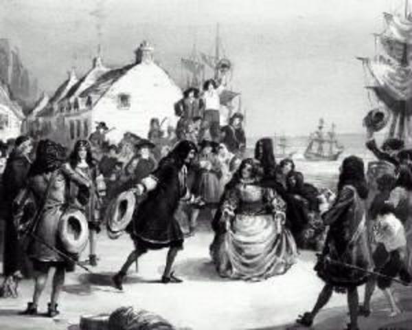 Colony Grows Stronger