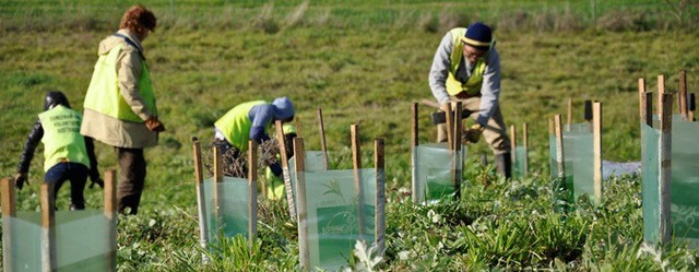 Fish and Wildlife Conservation Act