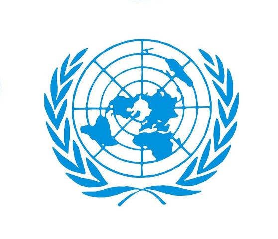 Propósitos Fundamentales de la O.N.U