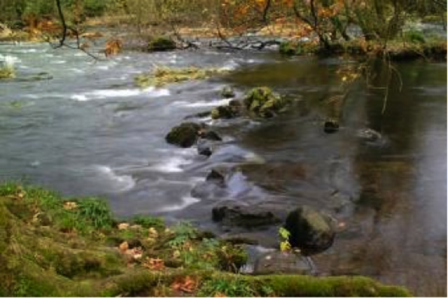 Fish and Wildlife Conservation Act