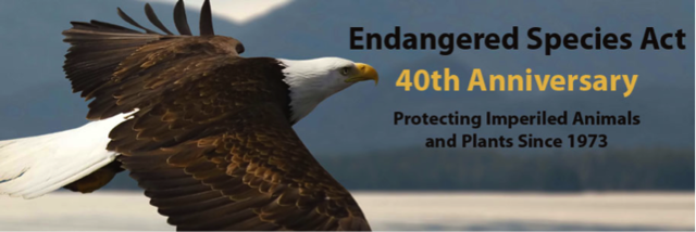 Endangered Species Act
