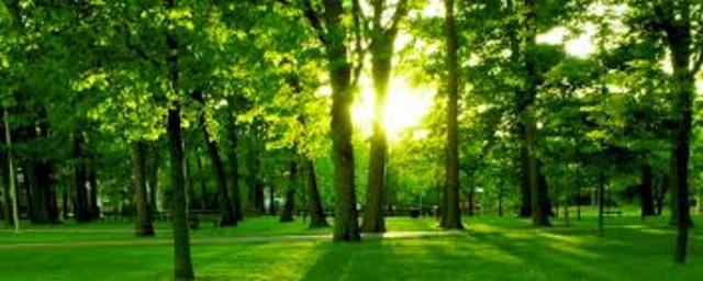 o	Environmental Quality Improvement Act