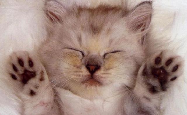 pierdo el grado primero