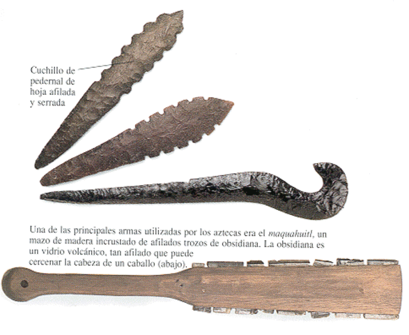 Extensión de los miembros del cuerpo