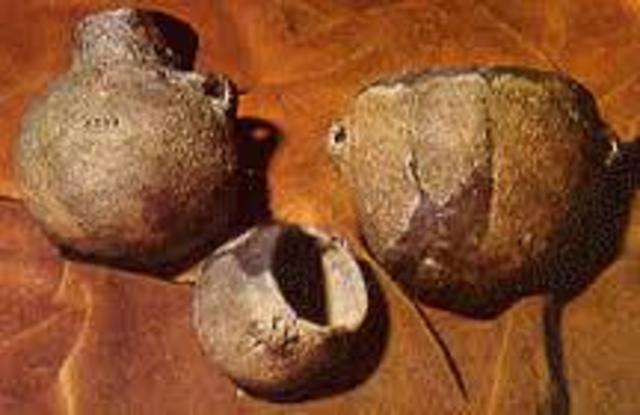 Edad de la piedra nueva