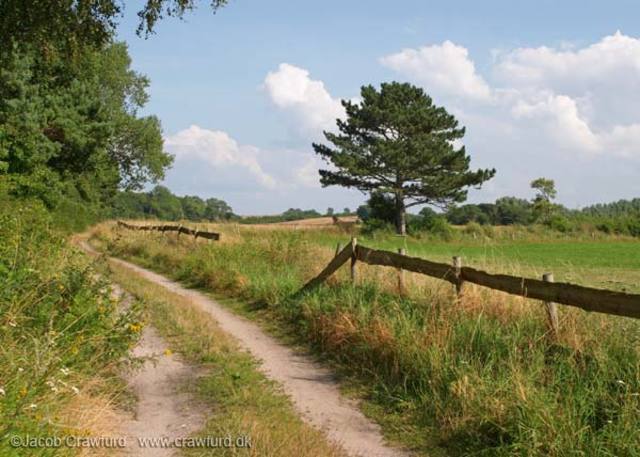 Exposition 2 setting