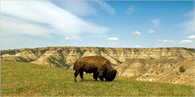 Trip to South Dakota