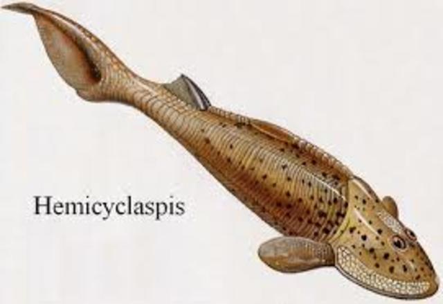 Primeros peces sin mandíbula