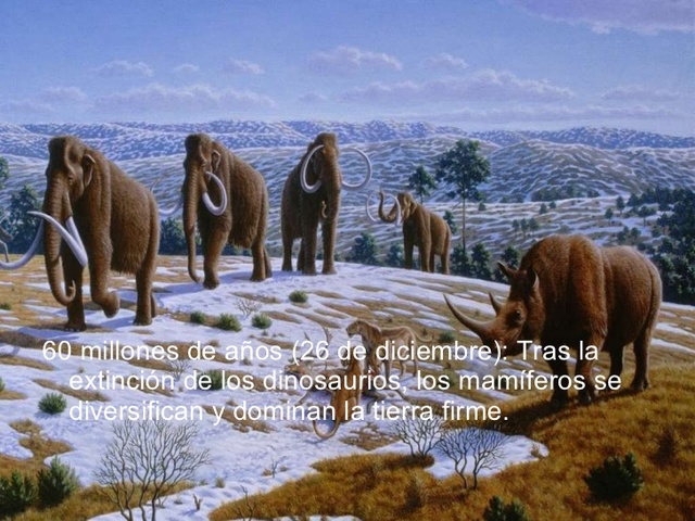 Extinción importante. Desaparecen los últimos dinosaurios y ammonites. Finaliza el Mesozoico.