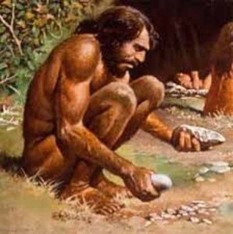 Primeros primates con mano prensil.