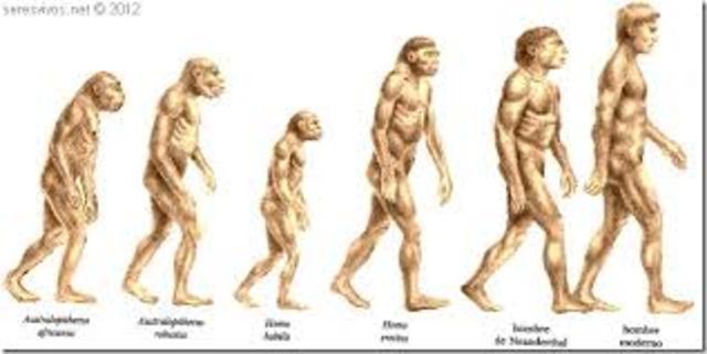 Primeros homínidos.