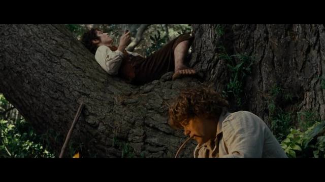 Ley de Descanso Dominical