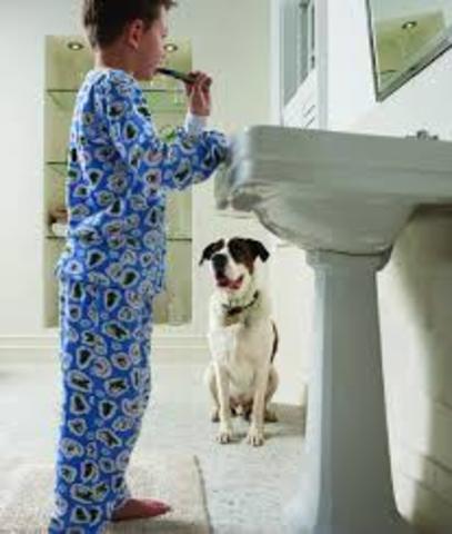 Present simple: I am a student at Nuevo Siglo School. I live in Cordoba with my parents. Every day I get up...