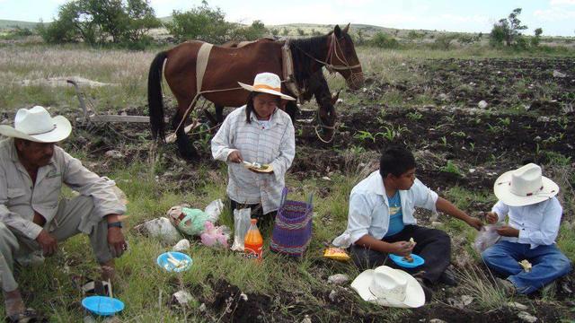 Formación de parejas