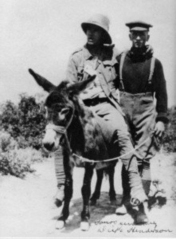 Simpson and his Donkey