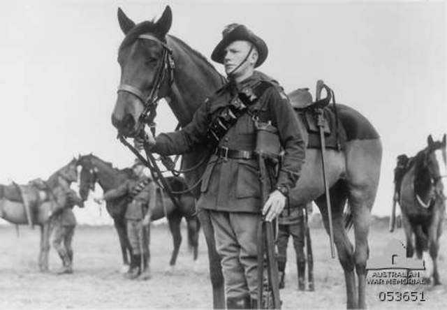 Australian Lighthorse