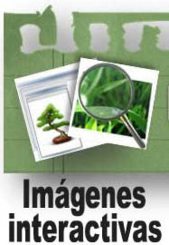 Imágenes interactivas