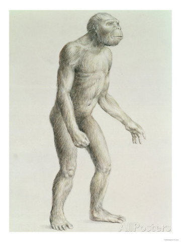 1.9 MILLONES AUSTRALOPHITECUS BOISEIS