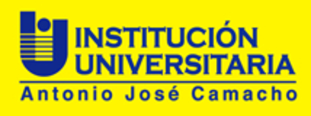Adulto Universida