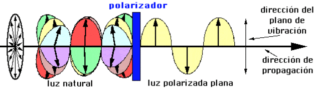 En siglo XIX- Young-Aragon-Fresley