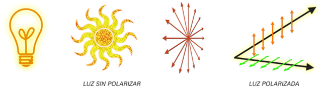 Augustin Fresley - Jean