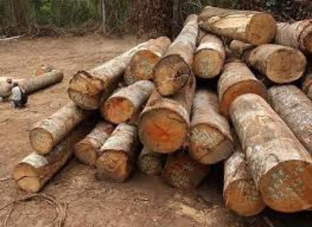 Nuestro planeta “nave espacial” con recursos limitados.