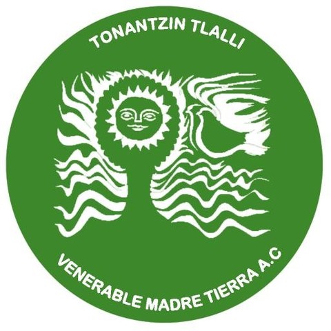 Temas, enfoquesy orientaciones prevalecientes