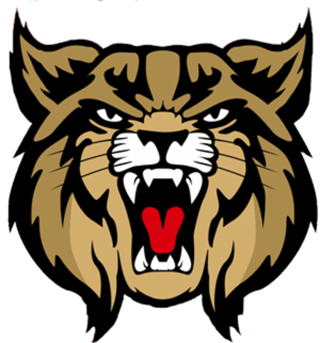 Started Teaching at BHS