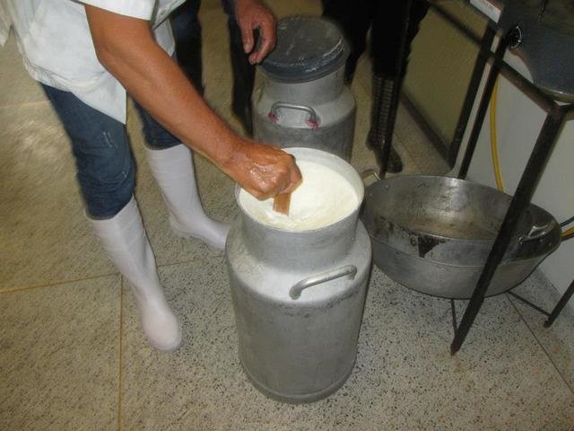 Recepción de la materia prima (Leche)