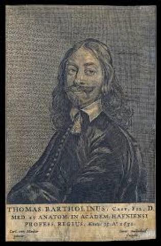 Bartholinus(1698d,C)