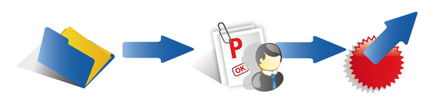 Plazos y fases del proyecto