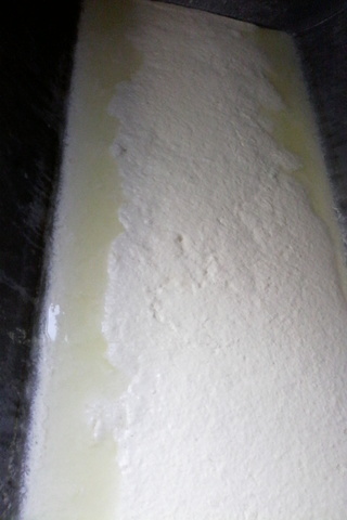 Coagulacion de la Leche