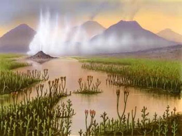 PALEOZOICA - FANEROZOICO