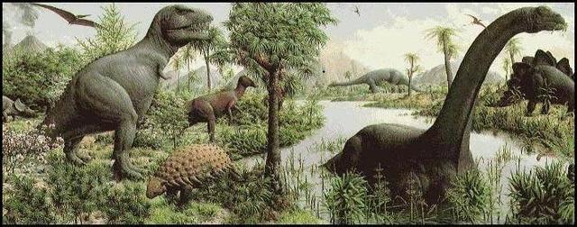 MESOZOICA - FANEROZOICO