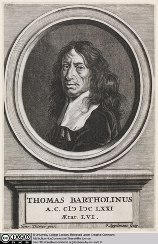 Thomas Bartholinus