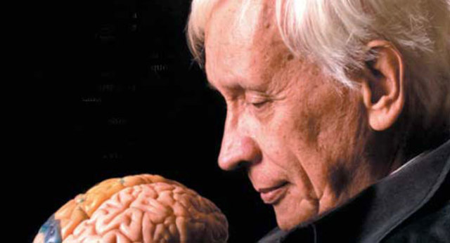 El cerebro y el mito del yo.