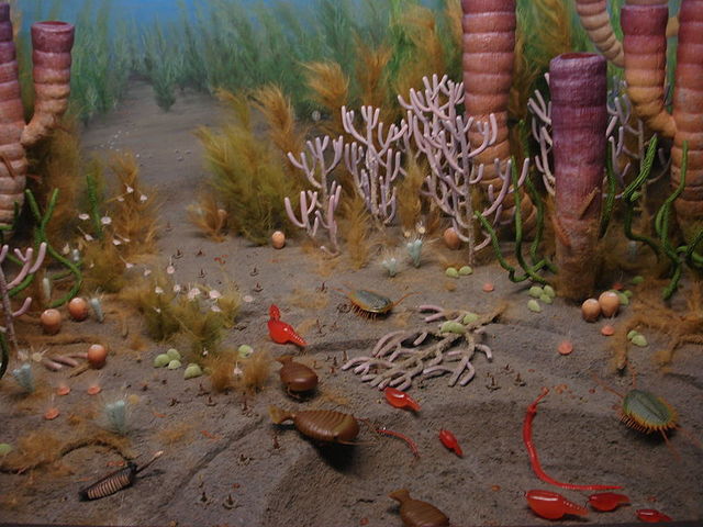 Era paleozoica
