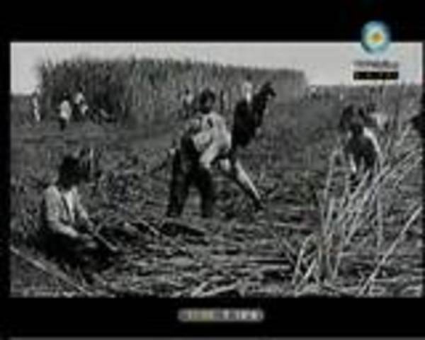 EXODO DE LA POBLACION RURAL A LAS CIUDADES