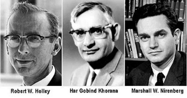 Nirenberg, Khorana y Holley determinan el código genético