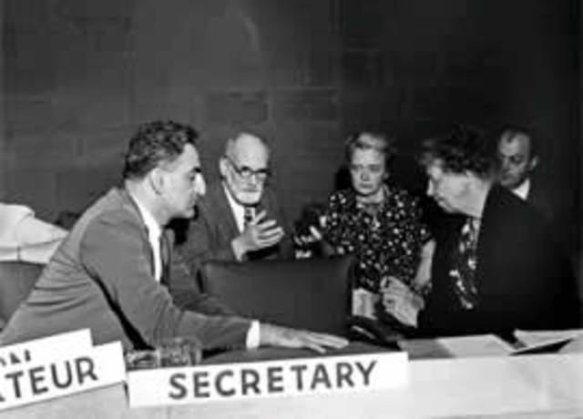 Declaración Universal de los Derechos Humanos