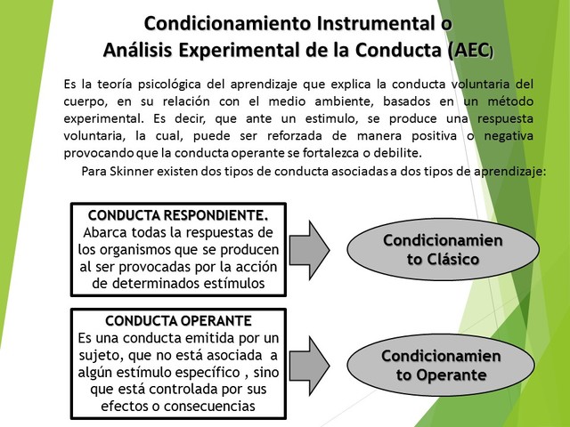 Condicionamiento Skinner