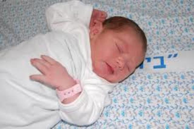 Prenatal Development & Birth-Biosocial