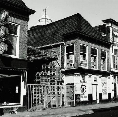 Passionate since the beginning